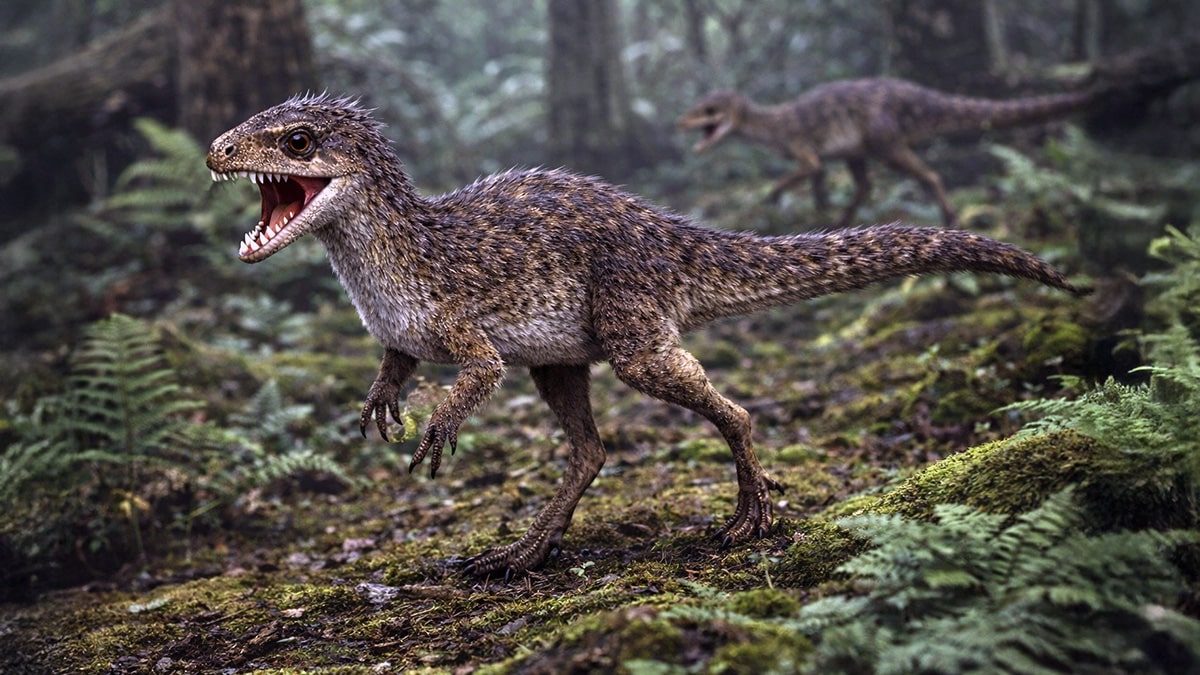 Feathered Echinodon in ancient forest