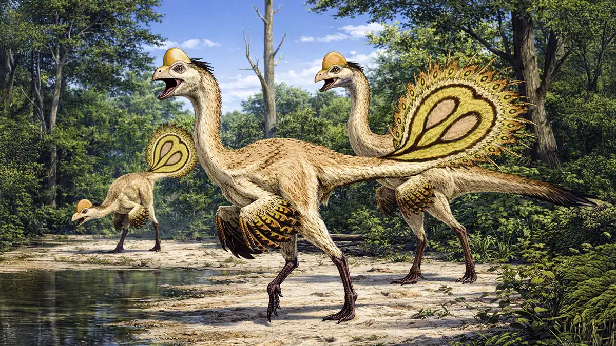 Caenagnathidae