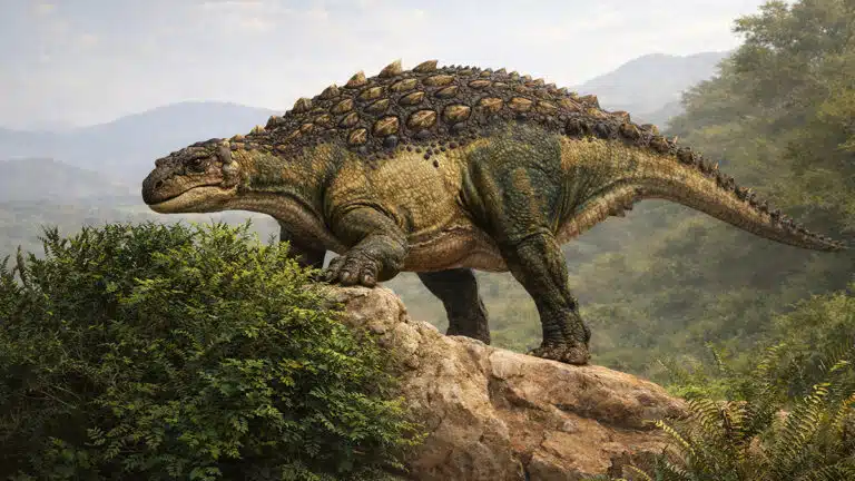 Heishansaurus