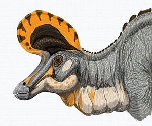 Lambeosaurus.