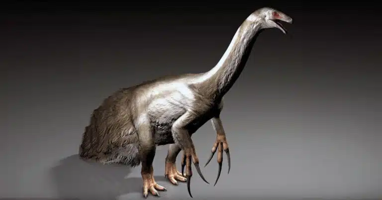 Therizinosaurus art